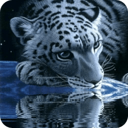 White Tiger Lick Azure Water