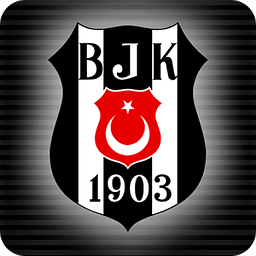 Besiktaş j.k