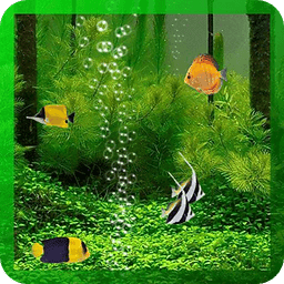 Free Aquarium Live Wallpaper