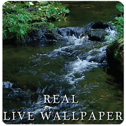 Real river live wallpaper