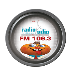 Radio Audio FM 106.3