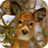 Deer 3D Hunter 2014