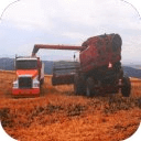 Hay Harvest Day 2