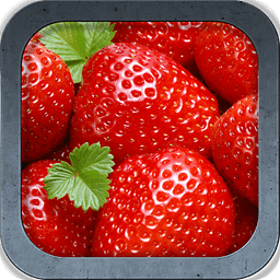 Fresh Fruits HD