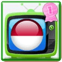 印尼电视 Indonesia TV PRO 250 Channels