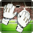 3D Penalty Goalkeeper