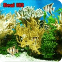 Aquarium Live Wallpaper FREE!