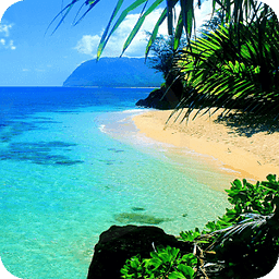 夏威夷旅游指南 Hawaii Travel Guide