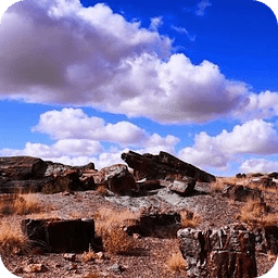 石化森林国家公园 Petrified Forest AZ