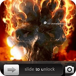 Fire Skull Go Locker The...