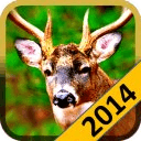Deer Wild Hunt 2014