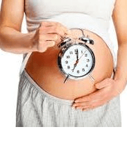 Pregnancy Calculator Online