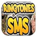 SMS Ringtones 2013