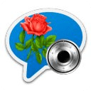 Flower Rose Lock Chat