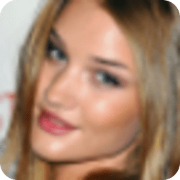 Rosie Huntington-Whitele...