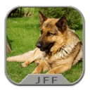 German Shepherd Wallpapers