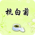 杭白菊