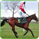 Horse Racing Frenzy