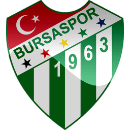 Bursaspor HD Duvar K. Galeri