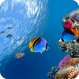 Ocean Aquarium 3D Free LWP