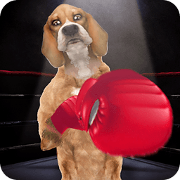 Boxing Dog Live Wallpaper