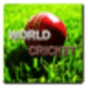 World Cricket Game