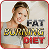 健康饮食 Fat Burning Diet