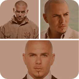 Pitbull Music Quiz