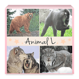 Animaux Quiz