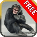 Zoo Funny Story Games