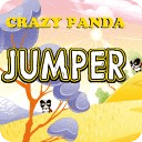 Crazy Panda Jumper