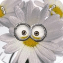 Despicable Flowers Memory