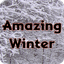 Amazing Winter