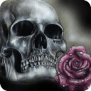 Skull&amp;Rose1 livewallpaper free