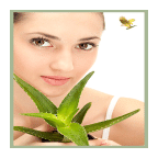 Herbal Treatment(ভেষজ চিকিৎসা)