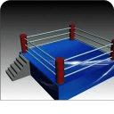 Championship boxing