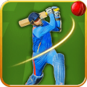 Real Cricket 2015