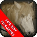 Free Best Kids Games - Horses