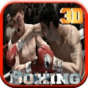 Boxing Street Fighter 2014