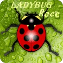 Ladybug Race - Ladybug Go! Go!