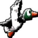 Duck Hunt HD