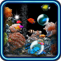 Fish Underwater live wallpaper