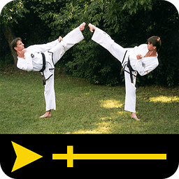 Taekwondo Tip Videos