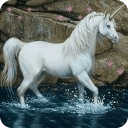 Beautiful Unicorn Live Wallpap
