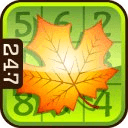 Fall Sudoku