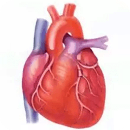 Heart Care