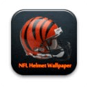 NFL Helmets Gallery