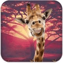 Real Talking Giraffe