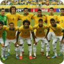 Brazil Team 2014