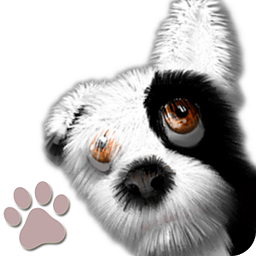 Oh My Dog - Virtual Pet